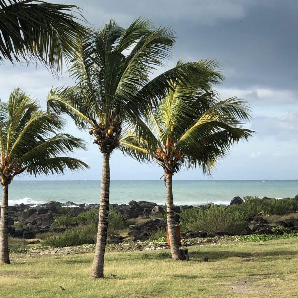 Containerized sewage treatment plant ClearFox®