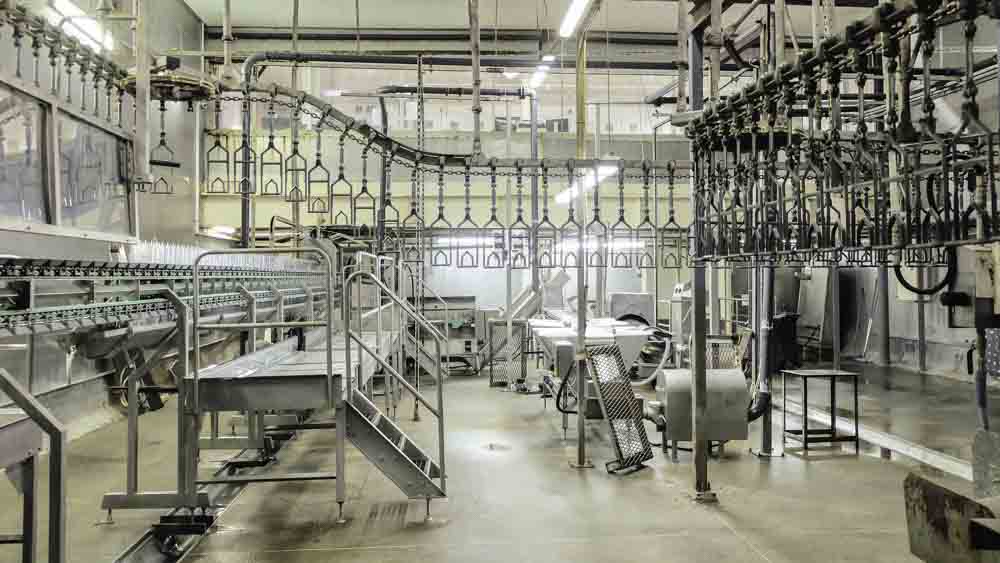 Slaughterhouse wastewater treatment