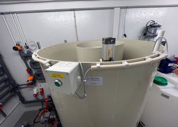 ClearFox DAF for industrial wastewater treatment